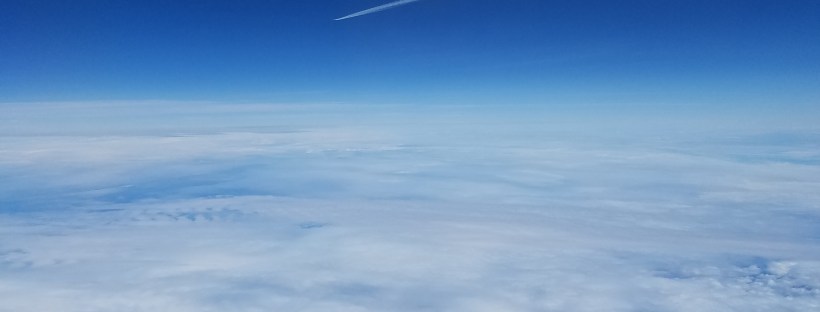 While I was Wandering: The French Adventure Ends