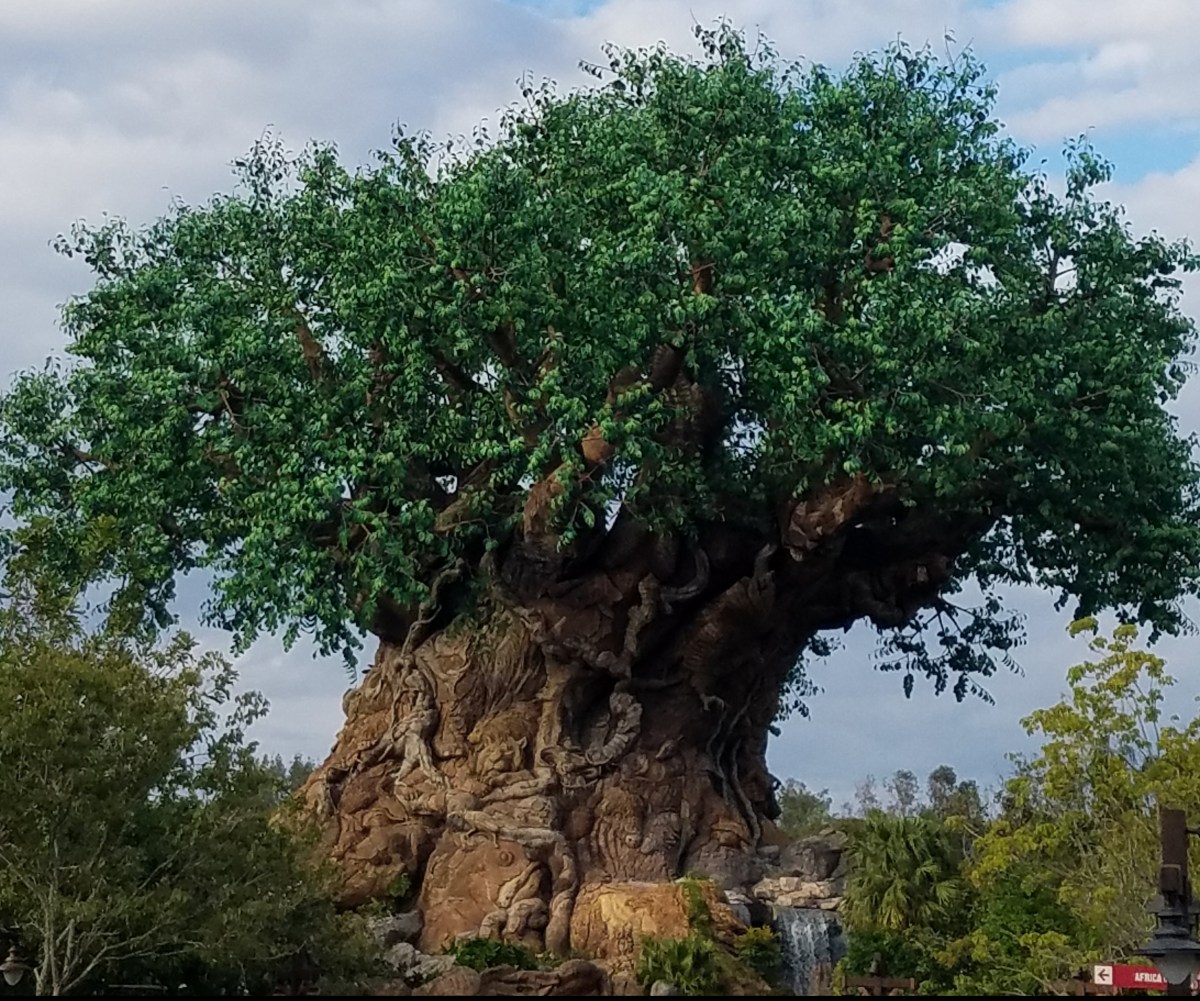 While I Was Wandering: Disney's Animal Kingdom