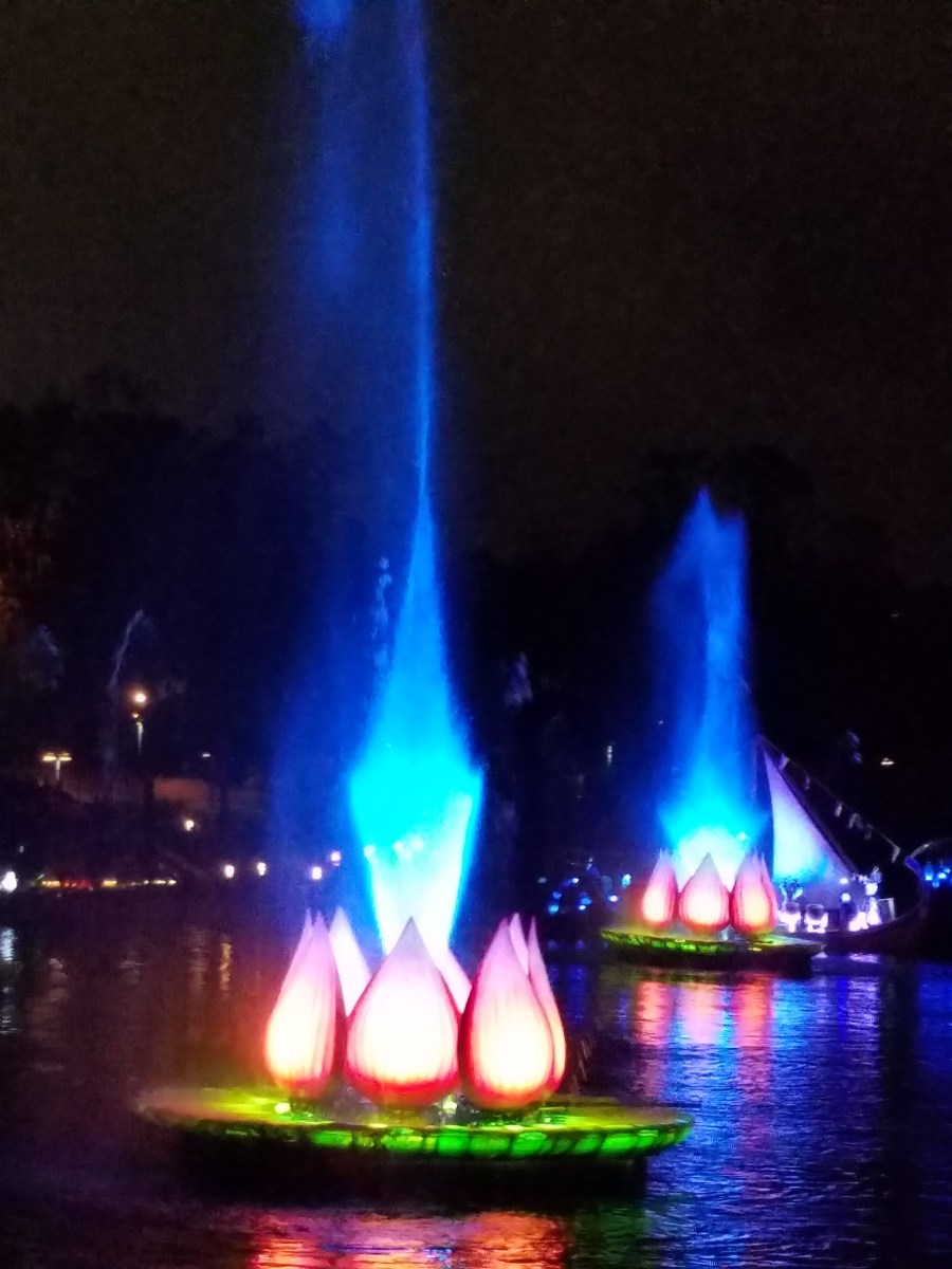 While I Was Wandering: Disney's Animal Kingdom