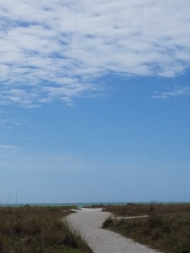 While I was Wandering: Enjoy the Moment