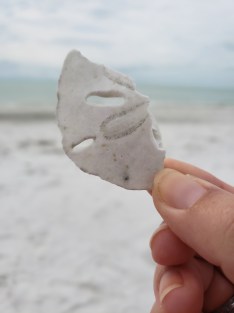 While I was Wandering: Hello 2019!