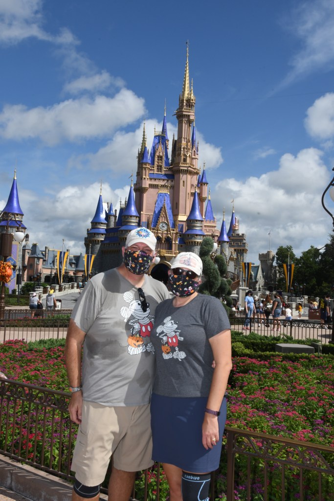 The Repainted Cinderella Castle